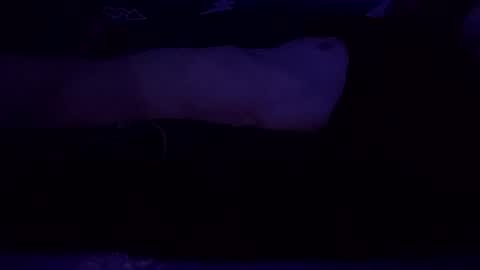 adamllamas online show from March 8, 7:49 am