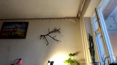 vegans taste better online show from October 7, 5:37 am