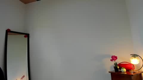 Snapshot of afrodita3123 chatting on June 10, 2:49 pm Lorena online show from June 10, 2:49 pm