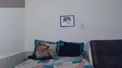 Snapshot of agata_c chatting on March 18, 3:20 am Agatha online show from March 18, 3:20 am