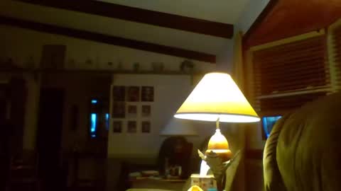 aguynrkfrd online show from January 2, 11:41 am