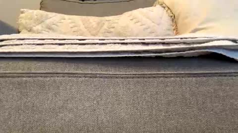 Snapshot of airmyles92 chatting on November 15, 6:59 pm canadianboy92 online show from November 15, 6:59 pm