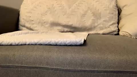 Snapshot of airmyles92 chatting on November 26, 1:39 am canadianboy92 online show from November 26, 1:39 am