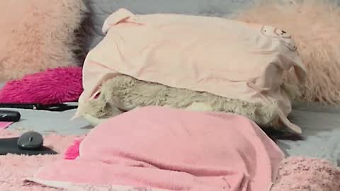 Aitanna Love online show from March 10, 6:29 am