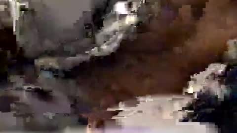 Snapshot of aj297914 chatting on December 20, 7:59 am aj297914 online show from December 20, 7:59 am