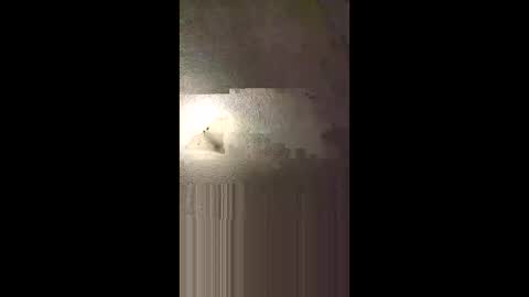 Snapshot of aj297914 chatting on February 8, 5:22 am aj297914 online show from February 8, 5:22 am