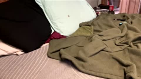 Snapshot of ajb5187517 chatting on January 5, 5:49 pm ajb5187517 online show from January 5, 5:49 pm