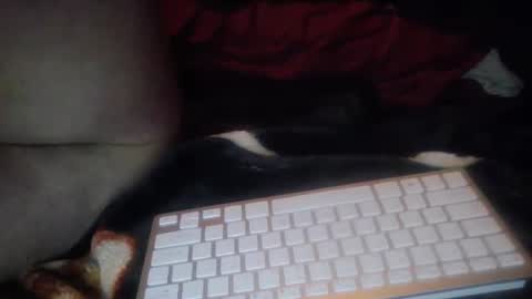 Snapshot of aken4it chatting on October 17, 7:27 pm aken4it online show from October 17, 7:27 pm