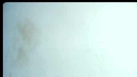 Snapshot of alahia66 chatting on April 21, 2:56 pm alahia66 online show from April 21, 2:56 pm