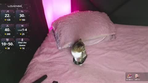 Snapshot of alahia_demon chatting on January 15, 2:17 am alahia online show from January 15, 2:17 am