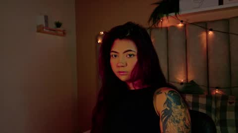  Alaia  online show from December 22, 11:40 am