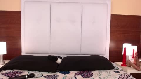 Snapshot of alanagh_ chatting on October 25, 3:58 am alana online show from October 25, 3:58 am