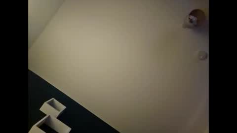 alannovak8 online show from November 20, 12:00 am