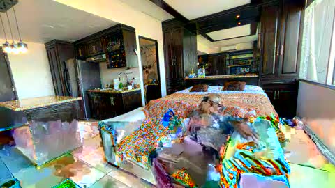 Snapshot of alenart chatting on February 2, 4:00 pm alenart online show from February 2, 4:00 pm