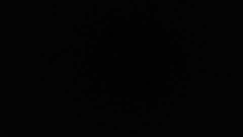 Snapshot of alex_blu chatting on February 26, 1:04 am Alex online show from February 26, 1:04 am