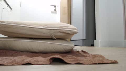 Nicha online show from October 18, 3:20 am