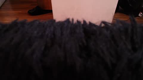 Alexa Moon online show from December 7, 3:58 am