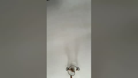 alexcarla online show from April 1, 9:10 am