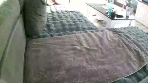 Snapshot of alexfresh84 chatting on January 10, 10:17 am Doggystyle online show from January 10, 10:17 am