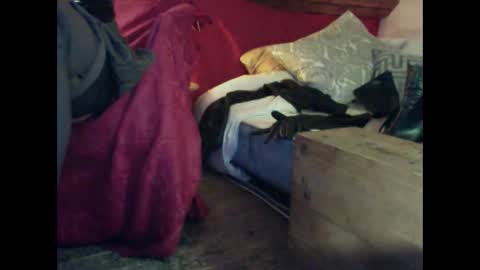 alexischat online show from September 25, 4:16 am