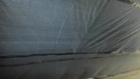 alfiesolomons87 online show from October 2, 12:12 pm