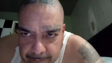 Snapshot of alfredo696969621471 chatting on January 15, 5:40 am alfredo696969621471 online show from January 15, 5:40 am