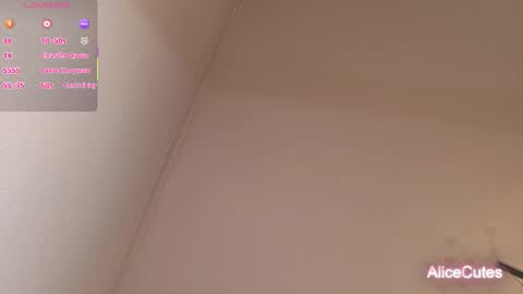 AliceCutes online show from February 1, 10:25 am