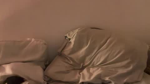 Snapshot of alicehugo chatting on January 27, 12:12 am alicehugo online show from January 27, 12:12 am