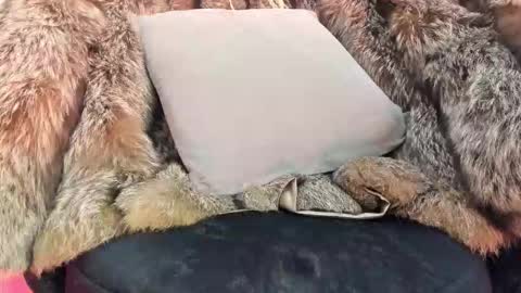 Snapshot of alicepoixxxon chatting on November 20, 4:34 am ALICE online show from November 20, 4:34 am