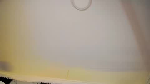 Snapshot of alicepoixxxon chatting on February 18, 6:53 am ALICE online show from February 18, 6:53 am