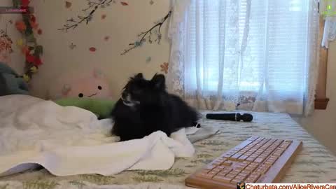 Snapshot of aliceriverscam chatting on February 5, 9:30 pm Alice Rivers ---- Enter my public Discord- online show from February 5, 9:30 pm