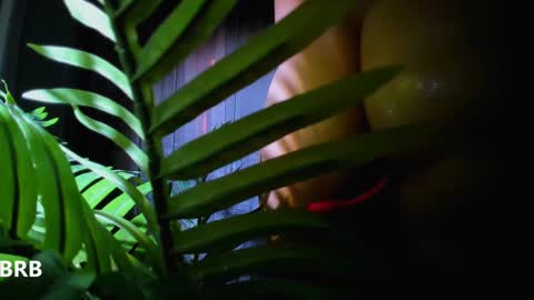 Alicia Lici  online show from January 2, 10:48 am