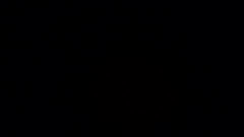     online show from February 3, 6:24 pm