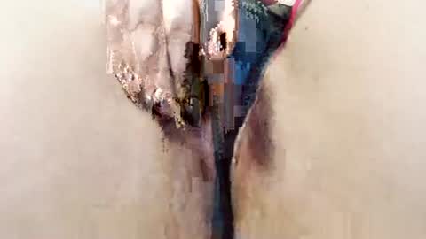 alisesexydoll777 online show from January 13, 4:56 pm