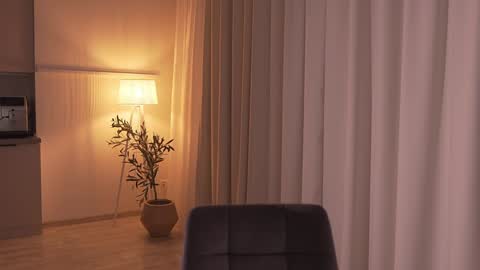 Alissa online show from January 14, 8:36 pm