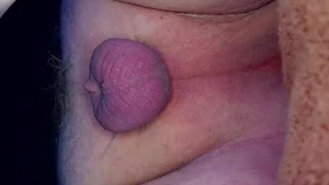 Growing Wiener online show from March 27, 12:38 am