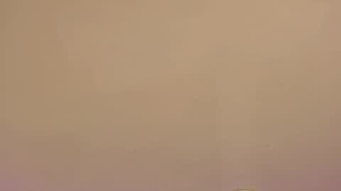    online show from January 8, 10:39 am