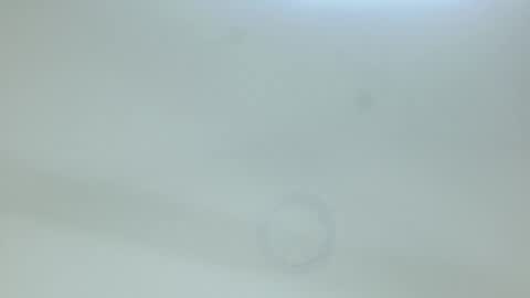 Snapshot of allison___taylor chatting on February 13, 2:40 am allison___taylor online show from February 13, 2:40 am