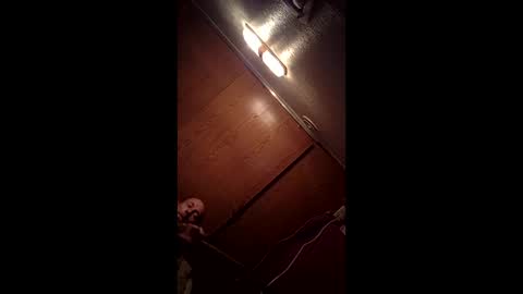 Snapshot of allister666pitfiend chatting on February 13, 9:05 am allister666pitfiend online show from February 13, 9:05 am