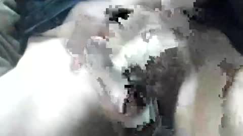 allways395 online show from September 28, 3:34 am