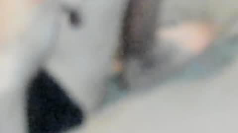 allways395 online show from October 25, 5:04 am