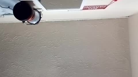 almightyjesos online show from October 30, 7:14 pm