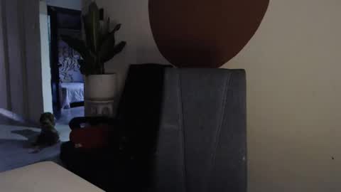 Snapshot of alogenotwink chatting on December 17, 11:27 am STEPHAN online show from December 17, 11:27 am