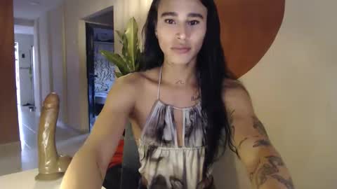 Snapshot of alogenotwink chatting on January 6, 11:47 am STEPHAN online show from January 6, 11:47 am