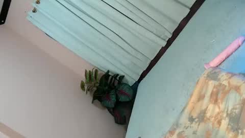 LEXY online show from February 2, 4:43 pm
