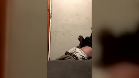 alwayshorny240177 online show from February 13, 4:47 pm