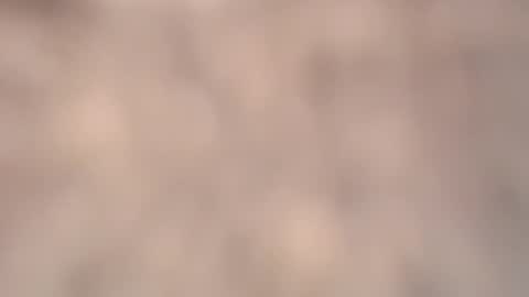 valentia online show from March 6, 2:24 pm