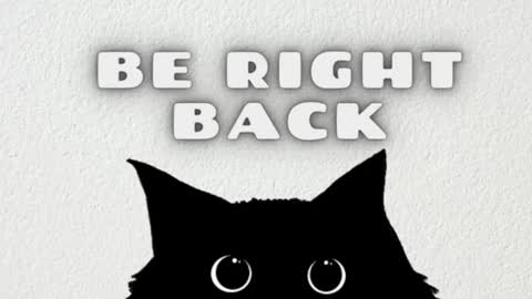 AmbarSantany  online show from February 22, 3:34 am