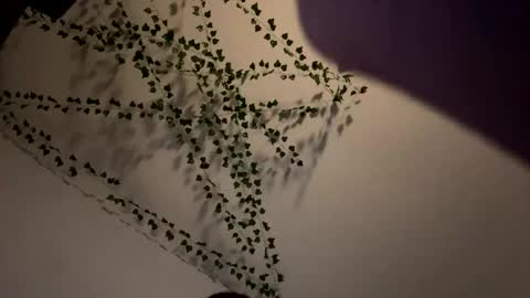 AmberIsPurple online show from December 8, 4:04 am