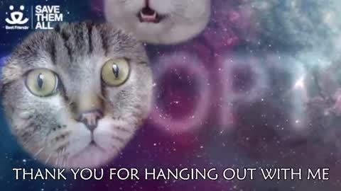 Snapshot of ambersimard chatting on March 5, 3:08 am Amber online show from March 5, 3:08 am